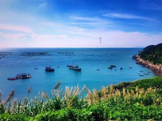 虫虫助手下载